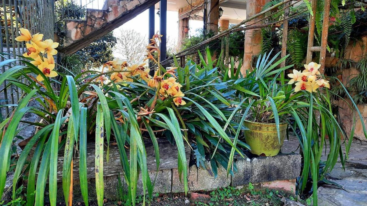 Pousada Canto Das Corujas São Roque Екстериор снимка